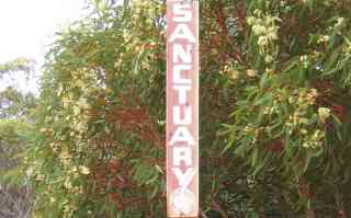 Sanctuary Walking Trails
